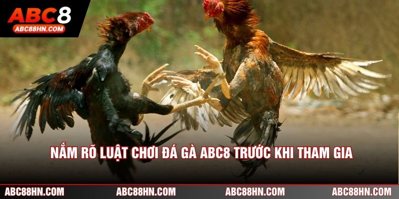 Nắm rõ luật chơi đá gà ABC8 trước khi tham gia